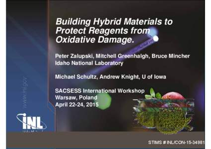 Building Hybrid Materials to Protect Reagents from Oxidative Damage. www.inl.gov