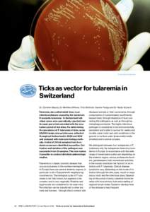 Francisella tularensis  Ticks as vector for tularemia in Switzerland Dr. Christian Beuret, Dr. Matthias Wittwer, Fritz Wüthrich, Sandra Paniga and Dr. Nadia Schürch Tularemia, also called rabbit fever, is an