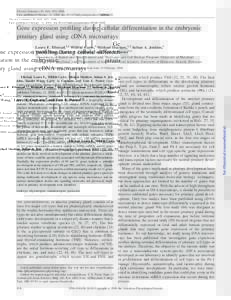 Physiol Genomics 25: 414 – 425, 2006. First published February 21, 2006; doi:physiolgenomicsGene expression profiling during cellular differentiation in the embryonic pituitary gland using cDNA mic