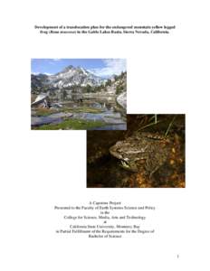 Development of a translocation plan for the endangered mountain yellow legged frog (Rana muscosa) in the Gable Lakes Basin, Sierra Nevada, California. A Capstone Project Presented to the Faculty of Earth Systems Science 
