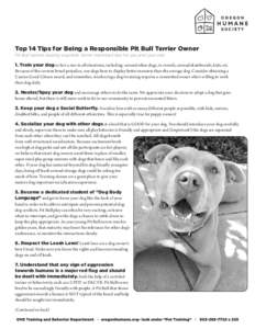 Top 14 Tips for Being a Responsible Pit Bull Terrier Owner 