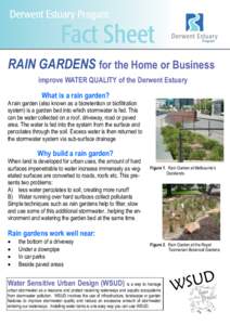 RAIN GARDENS for the Home or Business improve WATER QUALITY of the Derwent Estuary What is a rain garden? A rain garden (also known as a bioretention or biofiltration system) is a garden bed into which stormwater is fed.