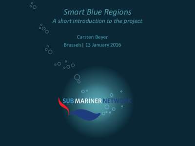Smart Blue Regions A short introduction to the project Carsten Beyer Brussels| 13 January 2016  Smart Blue Regions