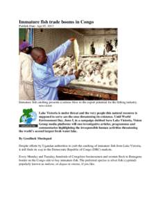 Immature fish trade booms in Congo Publish Date: Apr 05, 2013 Immature fish catching presents a serious blow to the export potential for the fishing industry. newvision Lake Victoria is under threat and the very people t