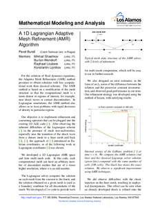 Mathematical Modeling and Analysis A 1D Lagrangian Adaptive Mesh Refinement (AMR) Algorithm (Czech Technical Univ. in Prague)