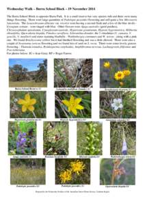Wednesday Walk – Burra School Block – 19 November 2014 The Burra School Block is opposite Burra Park. It is a small reserve but very species rich and there were many things flowering. There were large quantities of P