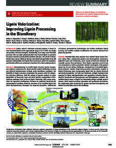 REVIEW SUMMARY Advances in biotechnology and chemistry hold promise for greatly expanding the scope of products derived from lignin.  READ THE FULL ARTICLE ONLINE