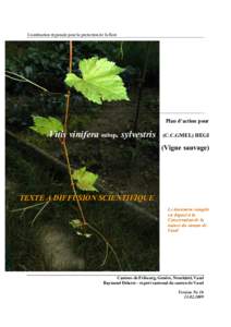 Coordination régionale pour la protection de la flore  Plan d’action pour Vitis vinifera subsp. sylvestris
