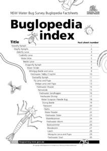 NSW Water Bug Survey Buglopedia Factsheets  Buglopedia index Title