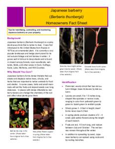 Japanese barberry (Berberis thunbergii) Homeowners Fact Sheet Tips for identifying, controlling, and monitoring Japanese barberry on your property