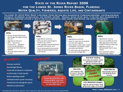 STATE OF THE RIVER REPORT 2008 FOR THE LOWER ST. JOHNS RIVER BASIN, FLORIDA: WATER QUALITY, FISHERIES, AQUATIC LIFE, AND CONTAMINANTS The Lower St. Johns River Basin in Northeast Florida has long been recognized as a tre
