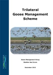 Microsoft Word - Trilateral Goose Management Scheme final_2013docx