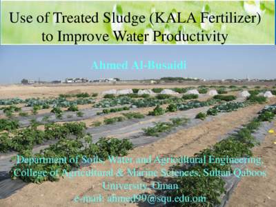 Maximizing the Use of Treated Wastewater in Irrigation by Year-round Crop Rotation and Conjunctive Use of Groundwater