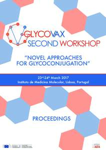 SECOND WORKSHOP  “NOVEL APPROACHES FOR GLYCOCONJUGATION” 23rd-24th March 2017 Instituto de Medicina Molecular, Lisboa, Portugal