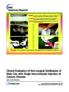 Clinical Evaluation of Non-surgical Sterilization of Male Cats with Single Intra-testicular Injection of Calcium Chloride Jana and Samanta Jana and Samanta BMC Veterinary Research 2011, 7:39 http://www.biomedcentral.com/
