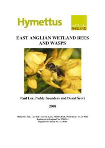 EAST ANGLIAN WETLAND BEES AND WASPS Paul Lee, Paddy Saunders and David Scott 2008 Hymettus Ltd., Lea-Side, Carron Lane, MIDHURST, West Sussex GU29 9LB