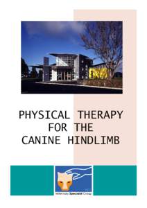 PHYSICAL THERAPY FOR THE CANINE HINDLIMB PHYSICAL THERAPY FOR THE CANINE HINDLIMB Rehabilitation is beneficial for many orthopaedic and neurological conditions in dogs and should begin almost immediate after surgery.