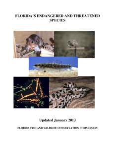 FLORIDA’S ENDANGERED AND THREATENED SPECIES Updated January 2013 FLORIDA FISH AND WILDLIFE CONSERVATION COMMISSION