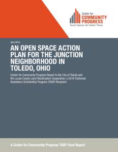 JuneAN OPEN SPACE ACTION PLAN FOR THE JUNCTION NEIGHBORHOOD IN TOLEDO, OHIO