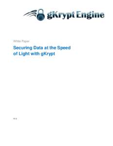 White Paper  Securing Data at the Speed of Light with gKrypt  V1.2