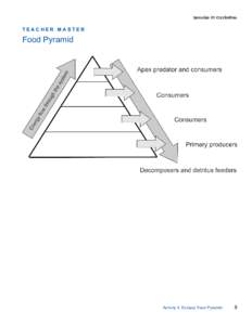 TEACHER MASTER  Food Pyramid Activity 4: Estuary Food Pyramid