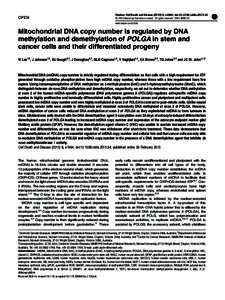 Mitochondrial DNA copy number is regulated by DNA methylation and demethylation of POLGA in stem and cancer cells and their differentiated progeny