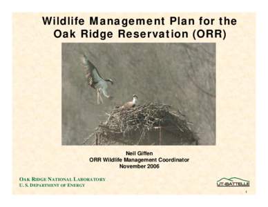 Wildlife Management Plan for the Oak Ridge Reservation (ORR) Neil Giffen ORR Wildlife Management Coordinator November 2006