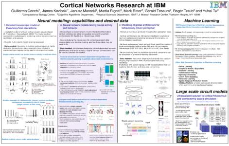 Cortical Networks Research at IBM[removed]
