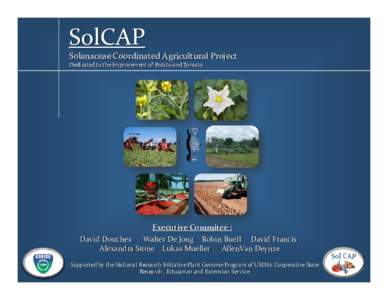 SolCAP Solanaceae Coordinated Agricultural Project Dedicated to the Improvement of Potato and Tomato Executive Commitee : David Douches      Walter De Jong    Robin Buell     David Francis