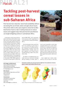 Focus  Tackling post-harvest cereal losses in sub-Saharan Africa