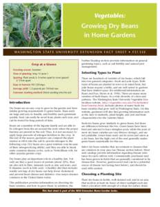 Vegetables:  Growing Dry Beans in Home Gardens WA S H I N G T O N S TAT E U N I V E R S I T Y E X T E N S I O N FA C T S H E E T • F SE Further Reading section provides information on general