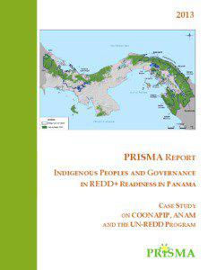 2013  PRISMA REPORT