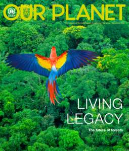 OUR PLANET The magazine of the United Nations Environment Programme - September 2008 LIVING LEGACY The future of forests