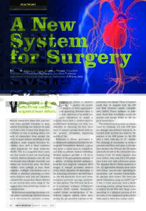 HEALTHCARE  A New System for Surgery By Gabriele Dubini, Professor; Giancarlo Pennati, Associate