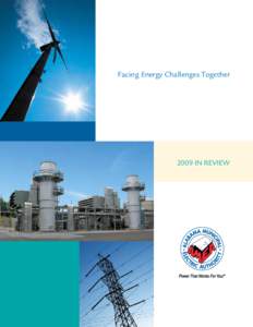 Facing Energy Challenges TogetherIN REVIEW Table of Contents Letter from Chairman of the Board and President & CEO