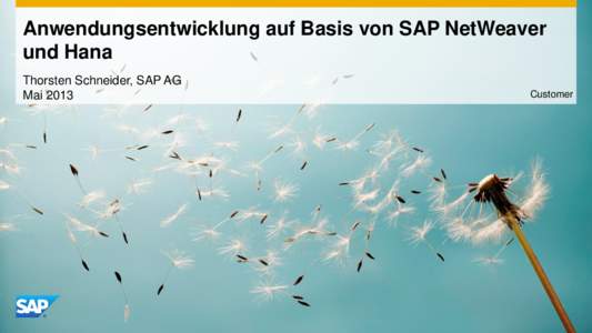 Anwendungsentwicklung auf Basis von SAP NetWeaver und Hana Thorsten Schneider, SAP AG MaiCustomer