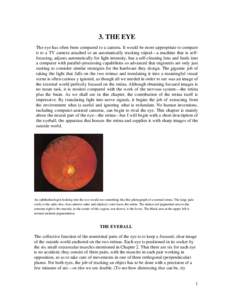 3. THE EYE The eye has often been compared to a camera. It would be more appropriate to compare it to a TV camera attached to an automatically tracking tripod—a machine that is selffocusing, adjusts automatically for l