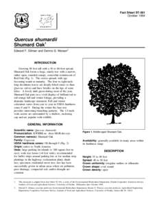 Fact Sheet ST-561 October 1994 Quercus shumardii Shumard Oak1 Edward F. Gilman and Dennis G. Watson2