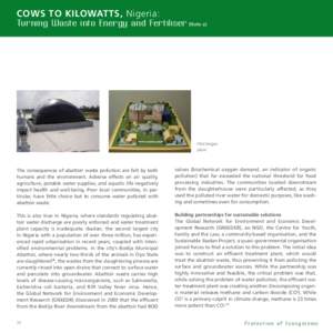 Cows to Kilowatts, Nigeria:  Turning Waste into Energy and Fertiliser (Note a) Pilot biogas plant