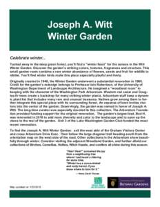 Joseph A. Witt Winter Garden Celebrate winter... Tucked away in the deep green forest, you’ll find a “winter feast” for the senses in the Witt Winter Garden. Discover the garden’s striking colors, textures, fragr