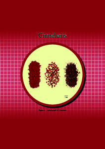 Cinnabaris  1 cm Figure 1	 A photograph of Cinnabaris
