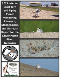 2013 Interior Least Tern and Piping Plover Monitoring, Research,