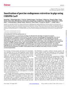 REPORTS  Cite as: D. Niu et al., Sciencescience.aan4187Inactivation of porcine endogenous retrovirus in pigs using