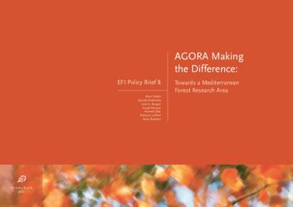 AGORA Making the Difference: EFI Policy Brief 8 Towards a Mediterranean Forest Research Area