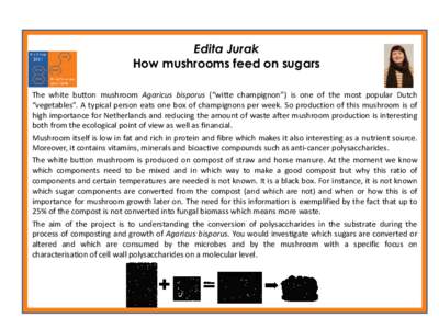 Food and drink / Agaricus bisporus / Fungiculture / Agaricus / Compost / Mushroom / Edible fungi / Biology / Agriculture