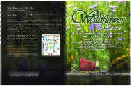 Wildflower at Lake Elmo A Healthy Community Healthy Communities and Places are a timely topic in the planning and development community nationwide. Most experts agree that easy access to sidewalks pathways and open space