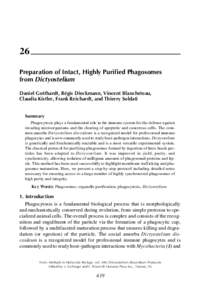 Phagosome PurificationPreparation of Intact, Highly Purified Phagosomes