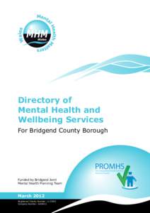 Bridgend County Borough / Bridgend / Princess of Wales Hospital / Bridgend bus station / Counties of Wales / Counties of the United Kingdom / Geography of the United Kingdom