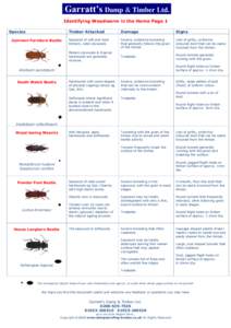 Garratt’s Damp & Timber Ltd.. Identifying Woodworm in the Home Page 1 Species Common Furniture Beetle  Timber Attacked