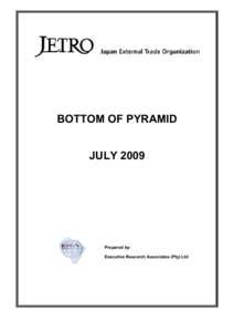BOTTOM OF PYRAMID JULY 2009 Prepared by: Executive Research Associates (Pty) Ltd
